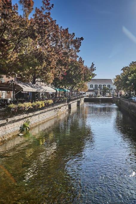 Zen A L Isle L'Isle-sur-la-Sorgue Exterior photo